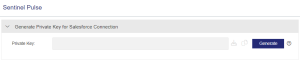 Sentinel Pulse - Generate Private Key for Salesforce Connection page